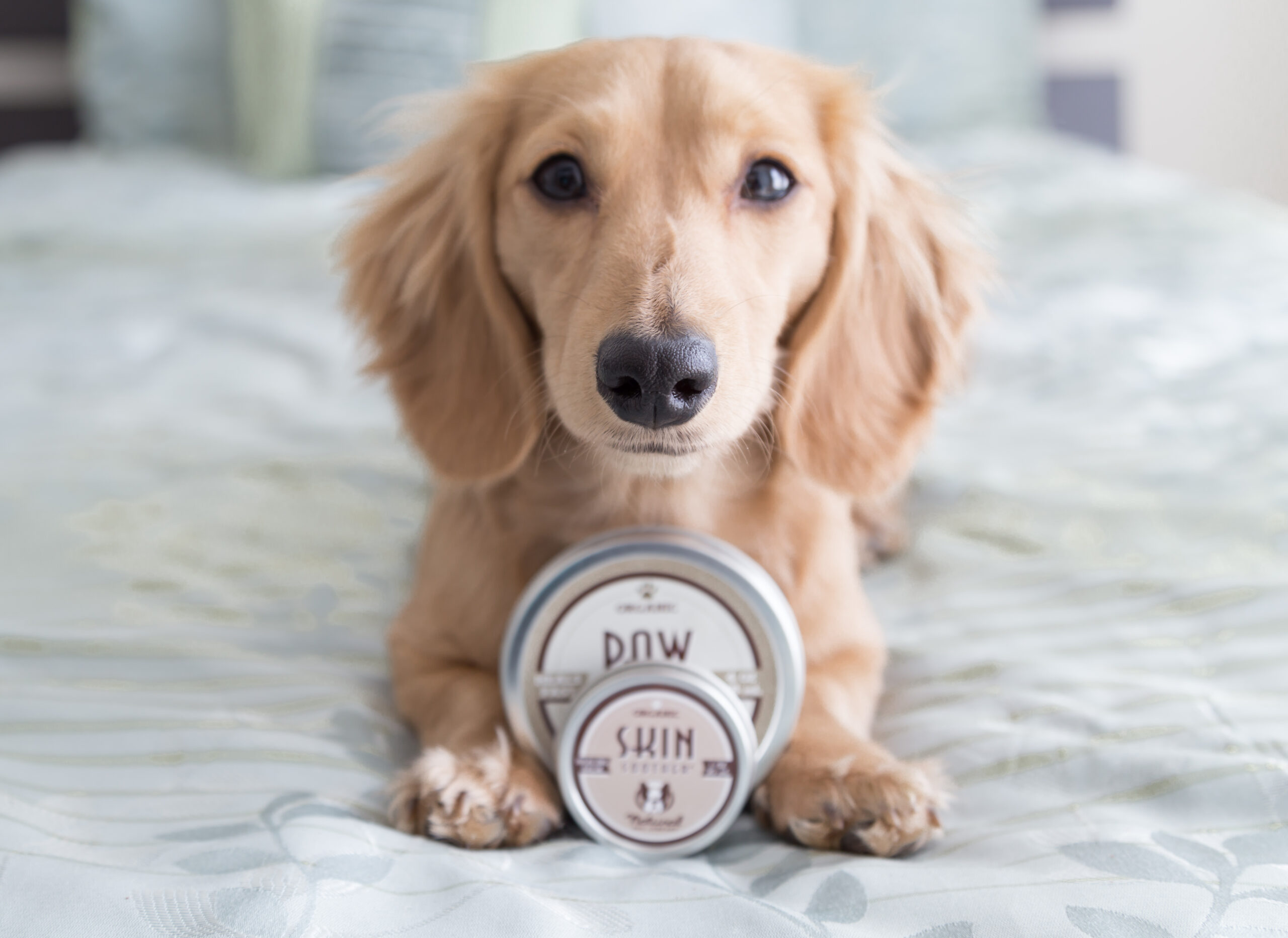 PS-SK-@mayathedox7-scaled