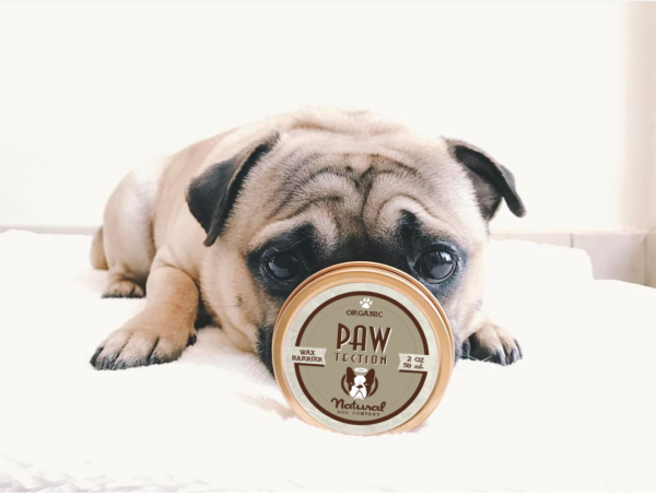 PT-@boris_the_instapug-600x453